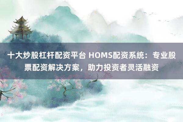 十大炒股杠杆配资平台 HOMS配资系统：专业股票配资解决方案，助力投资者灵活融资