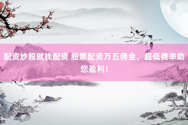 配资炒股就找配资 股票配资万五佣金，超低费率助您盈利！