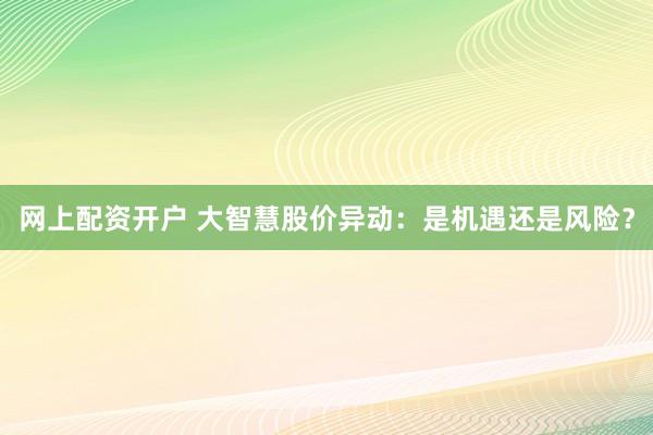 网上配资开户 大智慧股价异动：是机遇还是风险？
