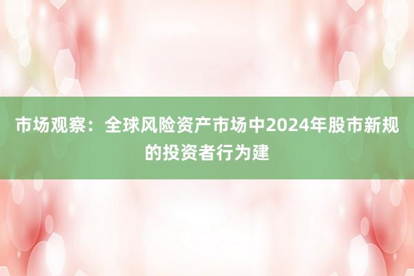 市场观察：全球风险资产市场中2024年股市新规的投资者行为建