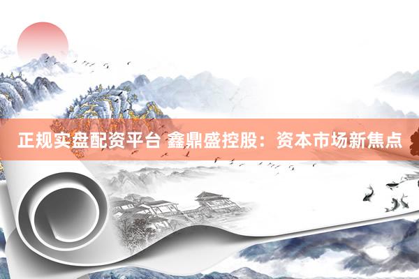 正规实盘配资平台 鑫鼎盛控股：资本市场新焦点